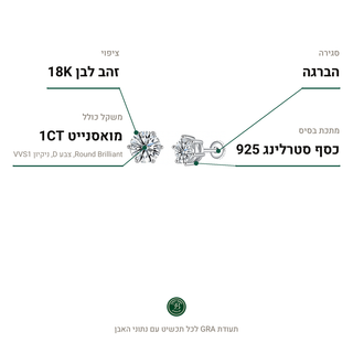 עגילי Clara, מואסנייט 1CT, כסף סטרלינג 925, ציפוי זהב לבן 18K