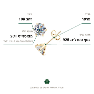 עגילי Noa Gold, מואסנייט 2CT, כסף סטרלינג 925, ציפוי זהב 18K