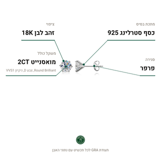 עגילי Nova, מואסנייט 2CT, כסף סטרלינג 925, ציפוי זהב לבן 18K
