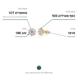עגילי Asterisk Gold, מואסנייט 1CT, כסף סטרלינג 925, ציפוי זהב 18K