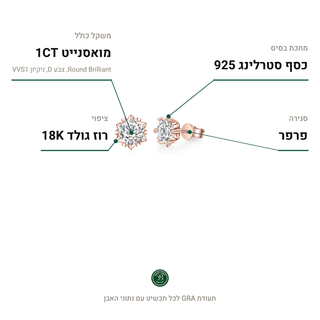 עגילי Asterisk Rose, מואסנייט 1CT, כסף סטרלינג 925, ציפוי רוז גולד 18K