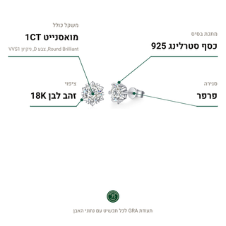עגילי Asterisk, מואסנייט 1CT, כסף סטרלינג 925, ציפוי זהב לבן 18K