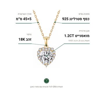 שרשרת Torino Gold, מואסנייט 1.2CT, כסף סטרלינג 925, ציפוי זהב 18K