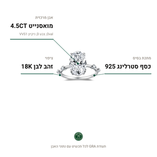 טבעת Padova, מואסנייט 4.5CT, כסף סטרלינג 925, ציפוי זהב לבן 18K