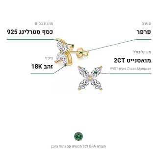 עגילי Sylva Gold, מואסנייט 2CT, כסף סטרלינג 925, ציפוי זהב 18K