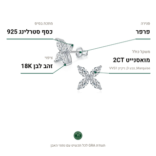 עגילי Sylva Silver, מואסנייט 2CT, כסף סטרלינג 925, ציפוי זהב לבן 18K