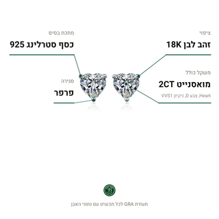 עגילי Bologna, מואסנייט 2CT, כסף סטרלינג 925, ציפוי זהב לבן 18K