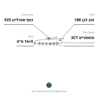 צמיד Ravenna, מואסנייט 3CT, כסף סטרלינג 925, ציפוי זהב לבן 18K